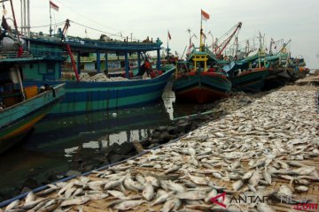Ratusan nelayan Palangka Raya peroleh jaminan asuransi