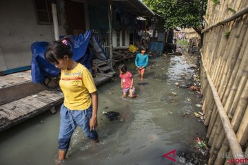 Kelurahan Kapuk Jakbar tergenang akibat hujan