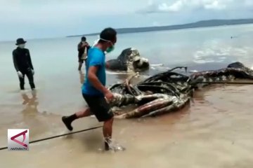 Masyarakat diingatkan jaga kebersihan Laut Wakatobi