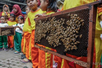 Memanen uang lewat budi daya madu kelulut