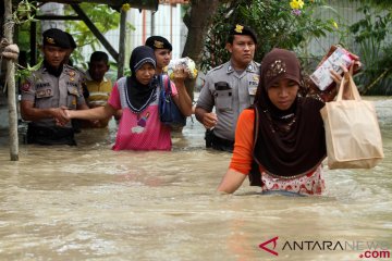 Alih fungsi hutan membawa banjir di Aceh