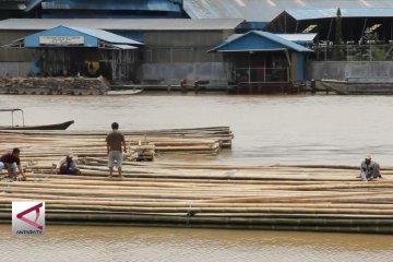 Bisnis bambu yang tetap bertahan