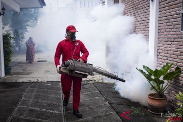 Kemenkes imbau waspada DBD di musim hujan