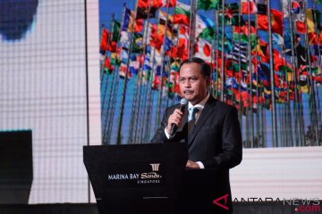 Dubes sebut investasi Singapura di Indonesia terbesar