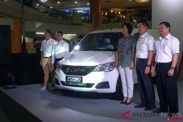 Alasan Wuling Motors sasar segmen LCV di Indonesia