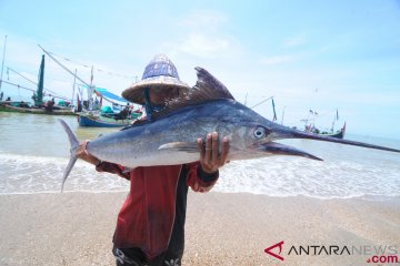 Yogyakarta menuju pengekspor ikan segar