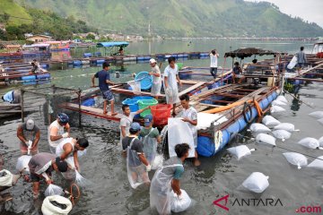 Akademisi sarankan pencemar Danau Toba diajukan ke pengadilan