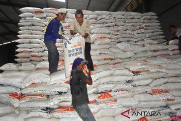 Bulog targetkan penyerapan beras 2019 sebanyak 1,8 juta ton