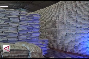 Stok 14 ribu ton, beras di Sultra aman hingga Juni 2019