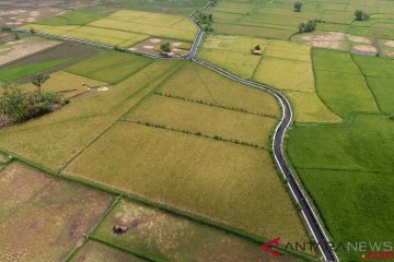 Target Perbaikan Irigasi Pertanian