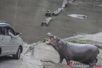 Sepekan, perpanjangan PPKM Mikro hingga libur Lebaran ke Bogor