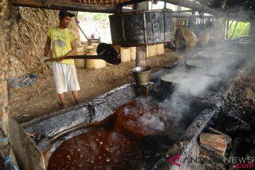 Proses Pembuatan Gula Merah