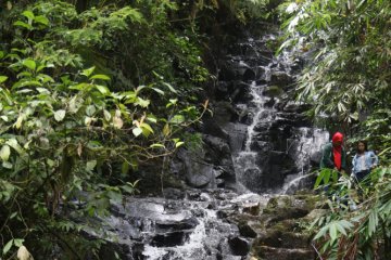 Kunjungan Wisatawan Nusantara