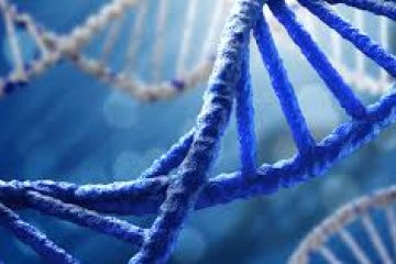DNA lebih bisa tersimpan lama di tulang