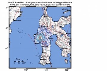 15.266 warga Mamasa mengungsi akibat gempa