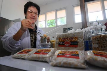 Inovasi makanan tempe ikan