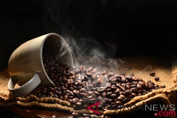 Benarkah kopi dapat mengurangi risiko penyakit otak?