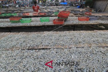 PRODUKSI IKAN TERI KERING