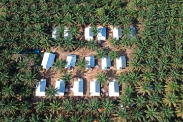 Perumahan Orang Rimba di Tabir Kabupaten Merangin