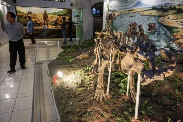 Museum Purba Sangiran
