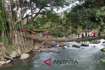 WISATA JEMBATAN AKAR