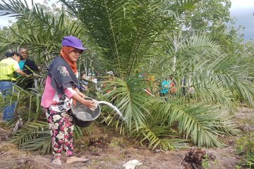 Kampanye hitam industri sawit harus cepat ditangani