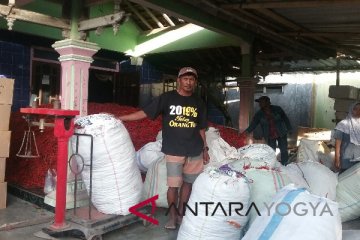 Pasar lelang cabai dongkrak keuntungan petani di Sleman