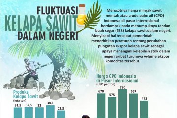 Fluktuasi harga CPO Indonesia