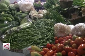 Harga sayuran di Temanggung merangkak naik