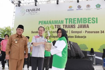 Terbuka peluang jajaki biji trembesi untuk tempe