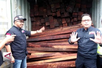 Penyeludupan 40 kontainer kayu ilegal asal sorong