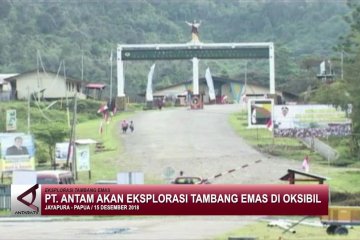 PT Antam akan eksplorasi tambang emas Papua