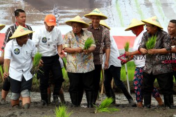 Pemerintah bahas penyesuaian harga beras