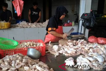 Harga daging ayam