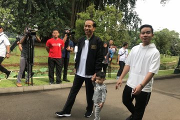 Jokowi-Gibran sepakat berkarier politik dari bawah
