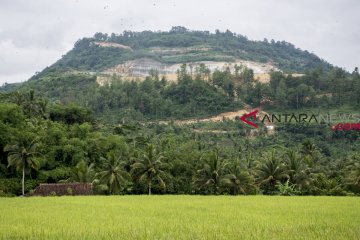 Walhi harapkan capres punya tawaran konkret atasi persoalan lingkungan hidup