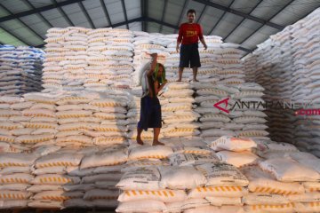 Pupuk Indonesia siap salurkan 8,87 juta ton pupuk bersubsidi pada 2019