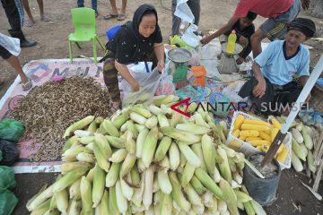 Penjual Jagung Musiman Raup Untung
