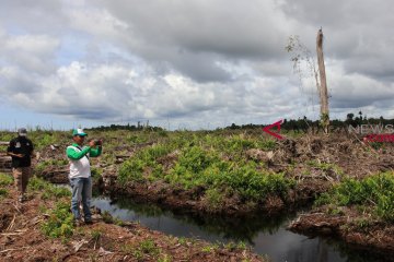 BKPH temukan aktivitas pengrusakan hutan lindung Rawa Tripa