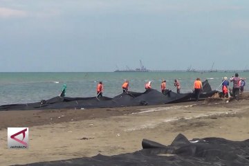 Pemkab Batang bangun tanggul pemecah gelombang