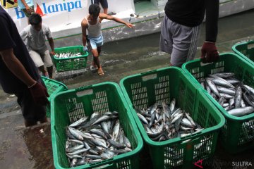 Penjualan ikan laut segar di Kendari melambung