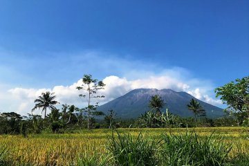 BPBD:  masyarakat tenang hadapi erupsi Gunung Agung