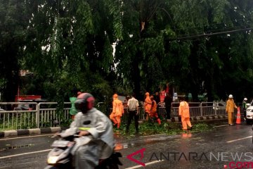 Hujan guyur Jakarta jelang malam pergantian tahun