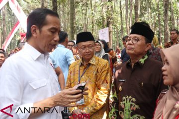 Presiden minta aparat keamanan serius tangani pembalakan liar