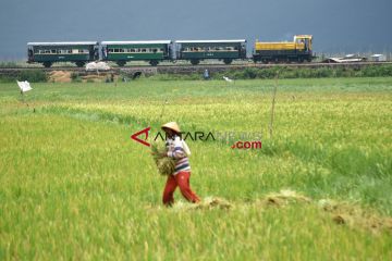 Sejarah kereta api Indonesia, dari masa kolonial hingga sekarang