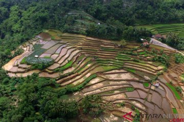 Alokasi Anggaran Peningkatan Produksi Tani