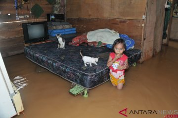 Banjir di Jambi