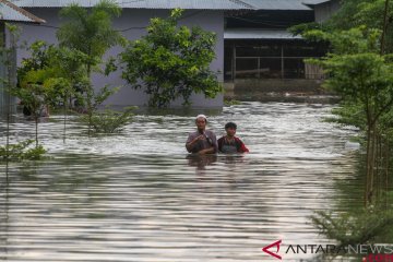 BPBD: Enam kabupaten/kota di Riau masih banjir