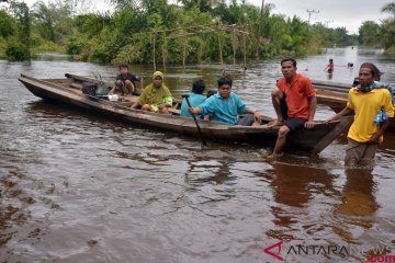 Banjir Pekan Kedua di Kampar