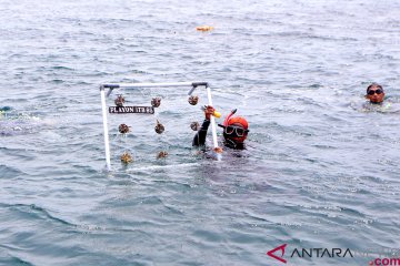 Edukasi Transplantasi Terumbu Karang